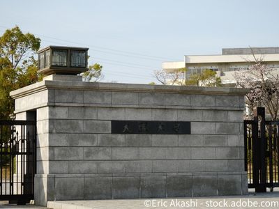13051_th.jpg